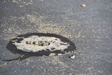 DSC_0501.JPG