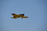 DSC_0888.JPG