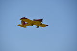 DSC_0890.JPG