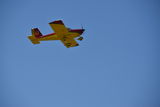DSC_0894.JPG