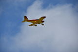 DSC_0897.JPG