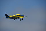 DSC_0946.JPG